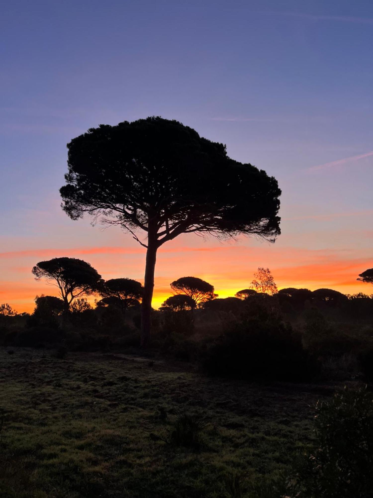 Los Candiles Conil De La Frontera Buitenkant foto