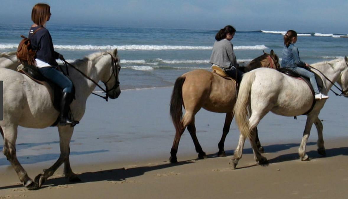 Los Candiles Conil De La Frontera Buitenkant foto